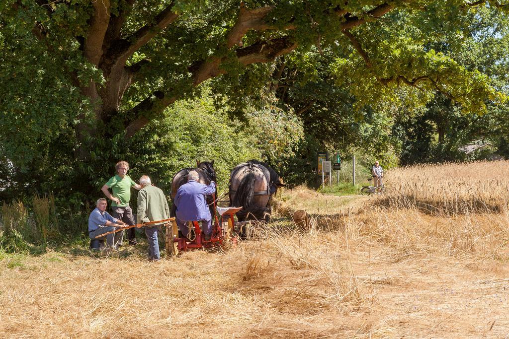 Hoeve Springendal Ootmarsum Zewnętrze zdjęcie