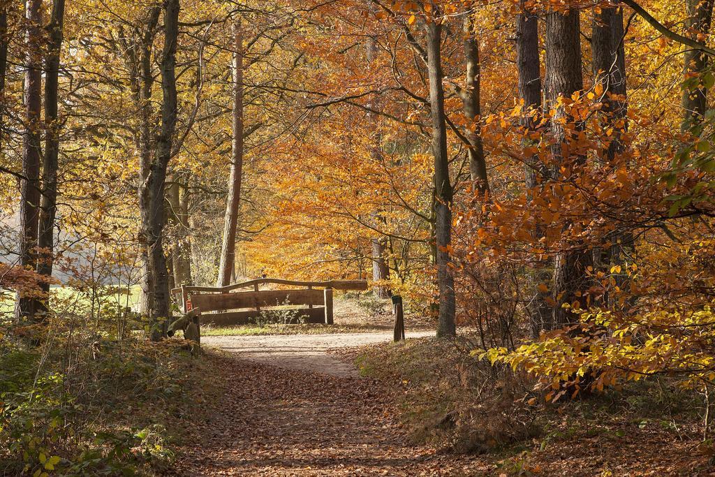 Hoeve Springendal Ootmarsum Zewnętrze zdjęcie