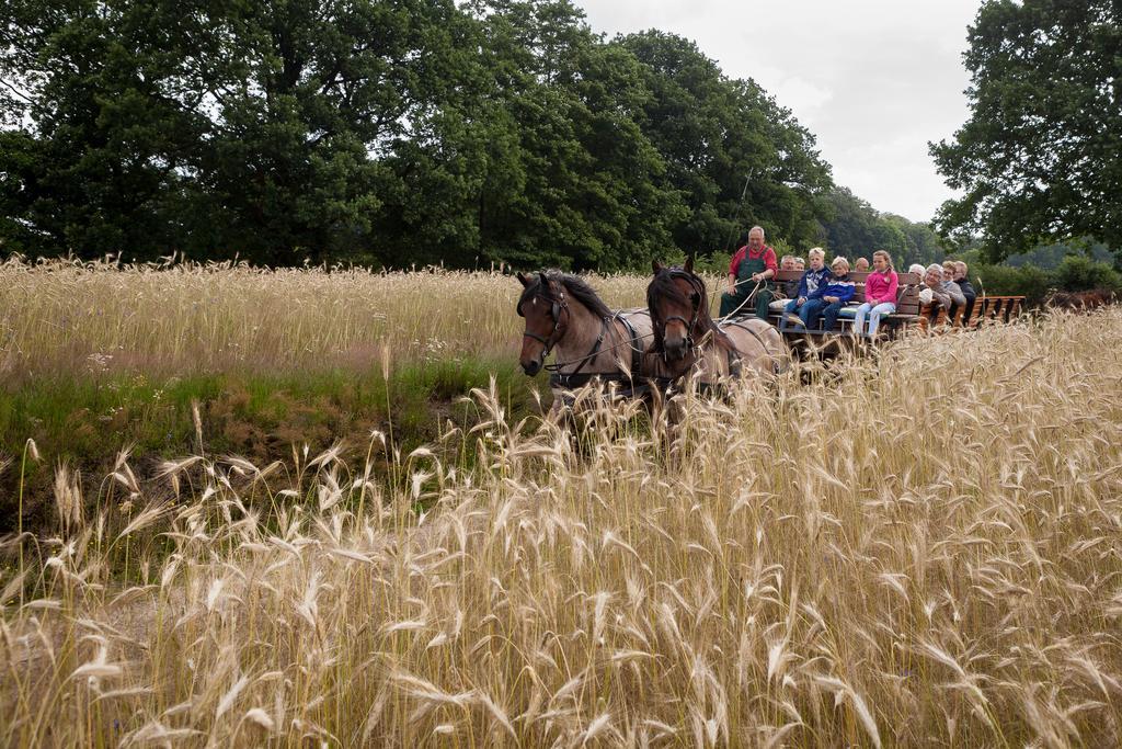 Hoeve Springendal Ootmarsum Zewnętrze zdjęcie