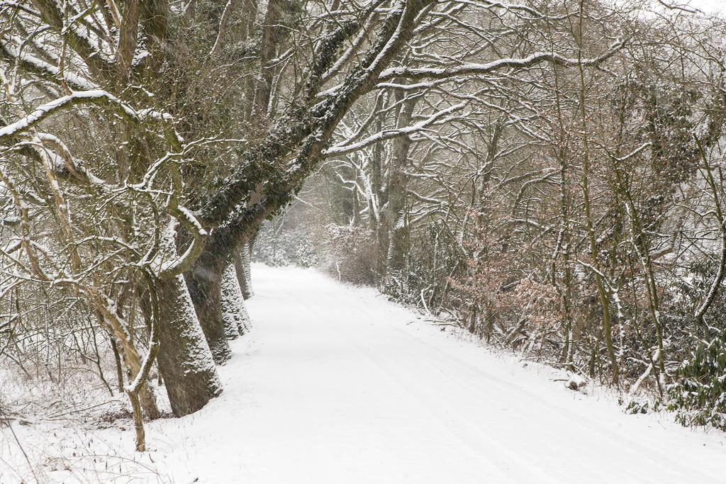 Hoeve Springendal Ootmarsum Zewnętrze zdjęcie