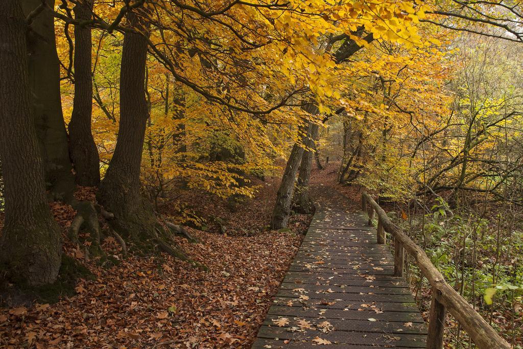 Hoeve Springendal Ootmarsum Zewnętrze zdjęcie