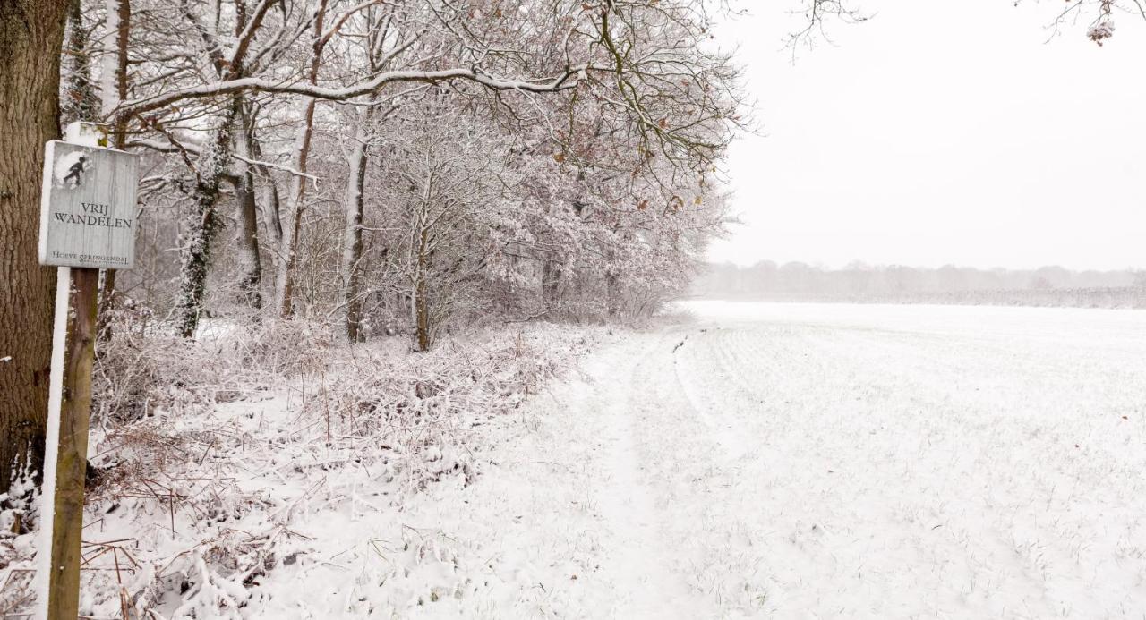 Hoeve Springendal Ootmarsum Zewnętrze zdjęcie